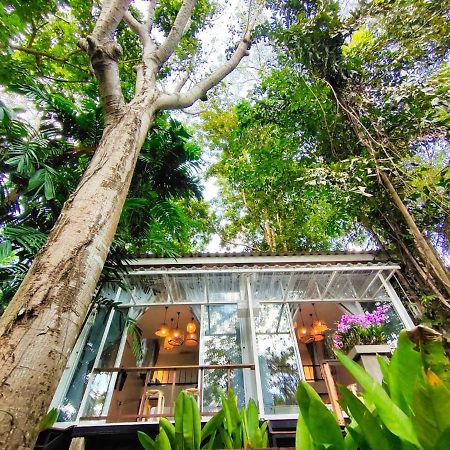 Rain Forest Resort Ban Pak Yang Exterior foto